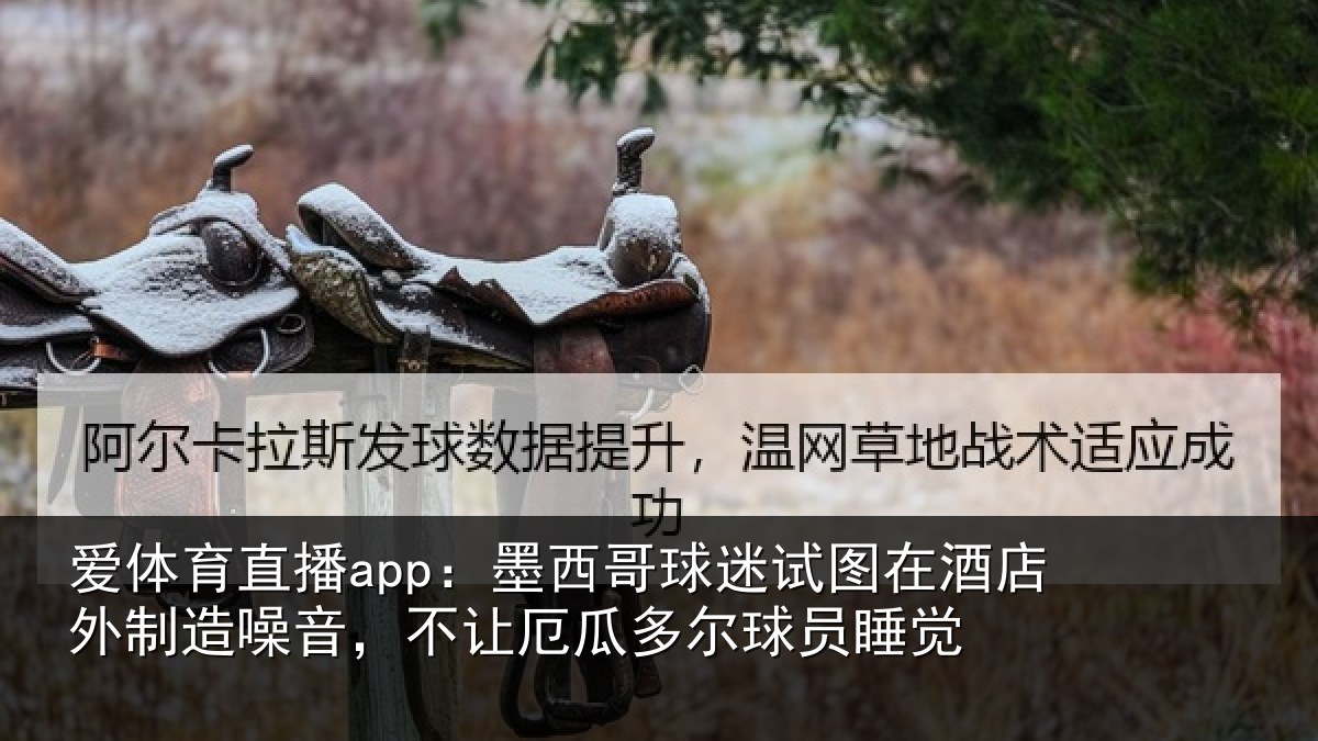 爱体育直播app：墨西哥球迷试图相关情况，不让相关情况