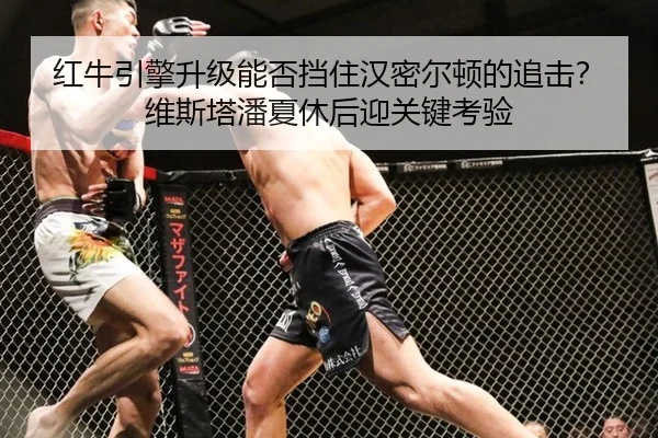 红牛引擎升级能否挡住汉密尔顿的追击？维斯塔潘夏休后迎关键考验
